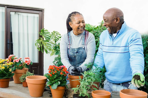 A couple potting plants together